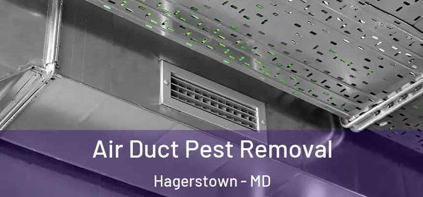  Air Duct Pest Removal Hagerstown - MD