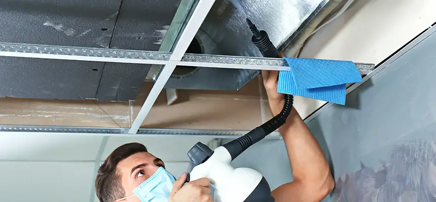 Our Air Duct Rodent Removal Services in Hagerstown, MD