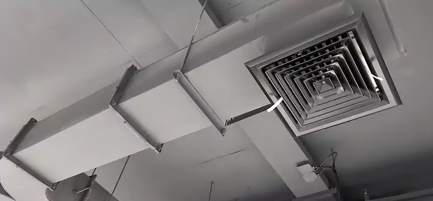 Restorative Allergy Relief Vent Cleaning – Coil, Blower & Housing Detail in Hagerstown