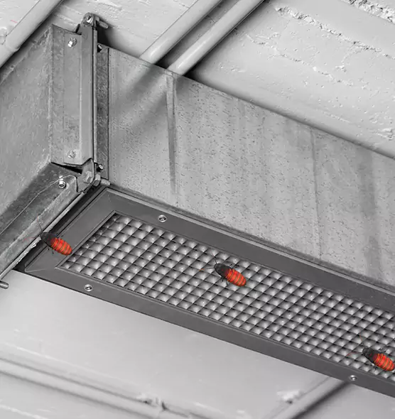 Affordable Insect Removal from Air Ducts in Hagerstown, MD