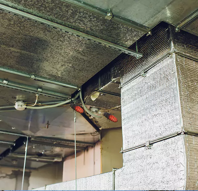 Why Homeowners & Businesses Trust Us in Hagerstown, MD?