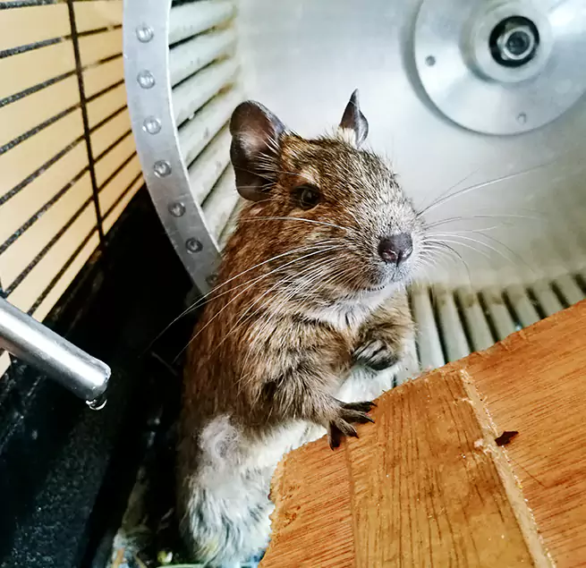 Why Homeowners & Businesses Trust Us Hagerstown, MD